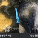 여성원한의원 이미지