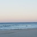 기사문항(회센터) 이미지