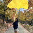 진주-반성-비상-23 | 진주 반성 메타세쿼이아 길이 아름다운 수목원, 단풍 명소 : 경상남도수목원