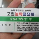 고현파출소 맞은편 이미지