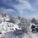 제633차 토요정기산행/산청지리산(천왕복 1,915m)/12월24일/법원 5시30분 출발 이미지