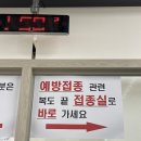 세종특별자치시보건소 | 세종시보건소 : 세종시 신혼부부산전검사후 B형간염...예방접종후기 👼🏻🫧🤍 (+풍진예방접종 안되는 후기까지)