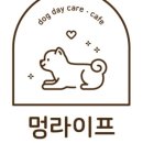 멍라이프 이미지