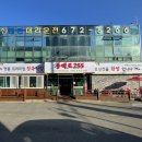 동백로255정육식당 | [태안한우] 태안 한우맛집 동백로255정육식당 내돈내산후기