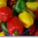 피망 이미지