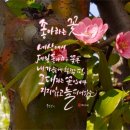 감성손글씨(캘리그라피) 이미지