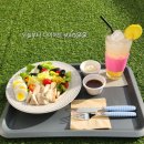 디어마이퍼피 이미지