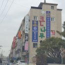 초롱큰나무학원