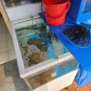 중촌초등학교(건너편) 이미지