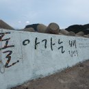 유동어촌체험휴양마을 이미지