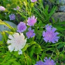 두륜산농장 이미지