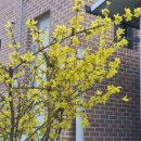 경북지업사 이미지