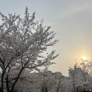 광산-송정-광산-33 이미지