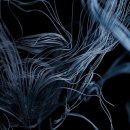 자유할인마트 이미지