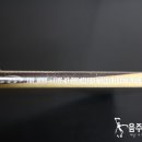 와이트라이브