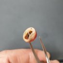 나라보청기상사 이미지