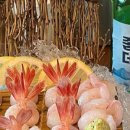 최군로바다야끼양산