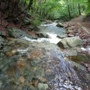 아침농원 이미지