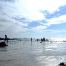 (주)제주가는길 이미지