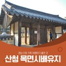 10월19~20/진주 남강유등축제와 애기단풍 문수사&람사르습지와 겁외사 이미지