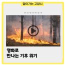 일산도서관 나눔터2 이미지