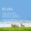 2019년 03월 19일 복되신 동정 마리아의 배필 성 요셉 대축일, 생활성서 듣는 소금항아리＜말씀과 성가정＞노우재 신부(부산교구 수정성당)|자유 게시판 이미지