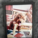 멍is뭔들 이미지