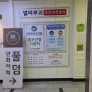 스카치피부과의원 | 어느 날 갑자기 뒤집어진 피부, 첨단 셀피부과에서 알레르기 검사까지 마친 솔직 후기