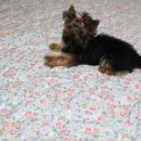 바울기획 이미지