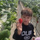 아이베스트 태권도 이미지