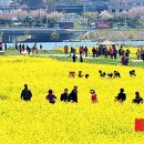 낙동강관리본부 대저생태공원 6 이미지