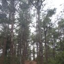 광양용강초등학교 이미지