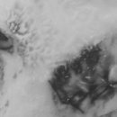 네오메디컬동물병원 이미지