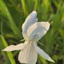 2025.4.29.화요일 출석부 이미지