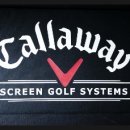 제일스크린골프 이미지