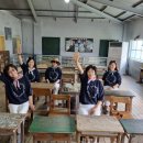 제주 기사투어