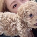 하쿠랑 Daum카페