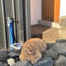 무아별장 이미지