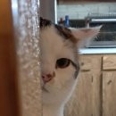 낙성대 공원 이미지