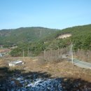 죽림주유소 이미지