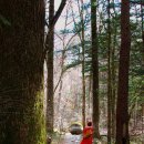 금강교옆 공원 이미지