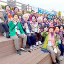 배나행협동조합 네이버블로그