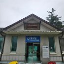 강원도 여행 정선_정선레일바이크/정선5일장/파인 포레스트 정선 알파인 리조트