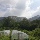 선림농장 이미지