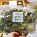 본도시락부산법조타운점 네이버블로그