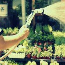 동양화원 이미지