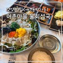양양 어촌마을 물회섭국 애견동반가능 회덮밥 물회 섭국 솔직후기
