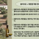 연세익약국 네이버블로그