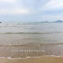 (주)놀핏