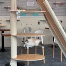 낭만 캣 | [대전 둔산동] 캣카페 낭만고양이 아이들이랑 가기 좋은 고양이 카페